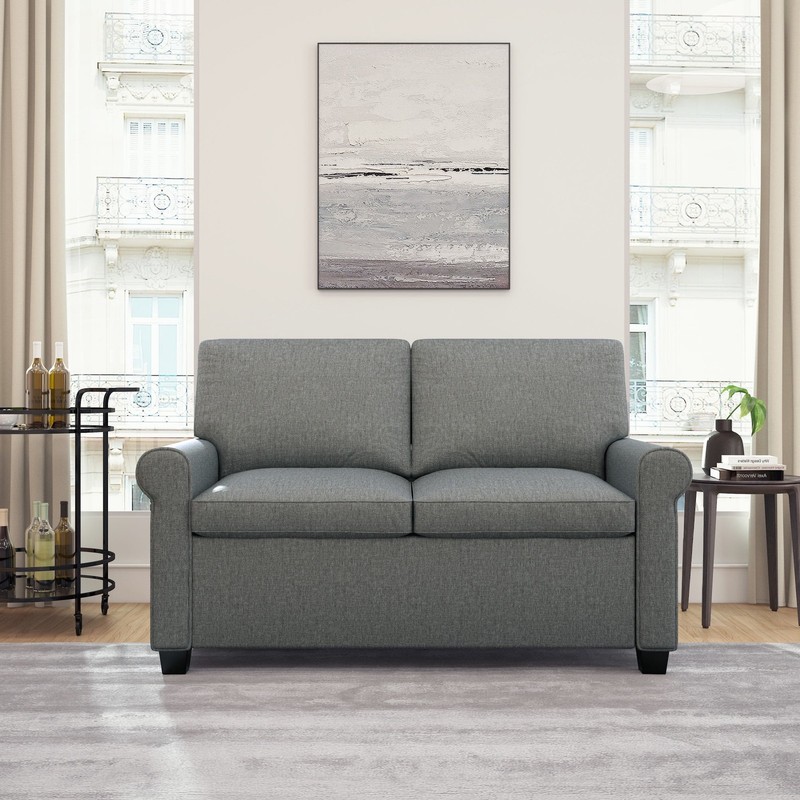 Sofa Bed Pull Out Sleeper Loveseat Couch Twin Adult Size Rolled Arms Gray gallery