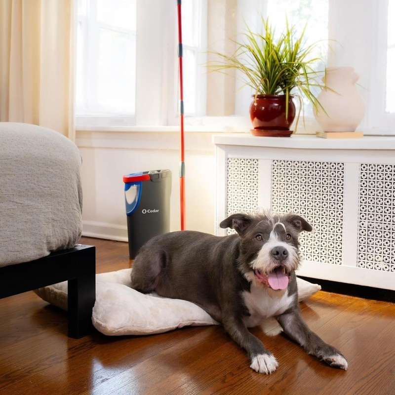 O-Cedar H2prO Flat Mop System | Quick Everyday Cleaning | Dual-Tank Fresh Wat... gallery