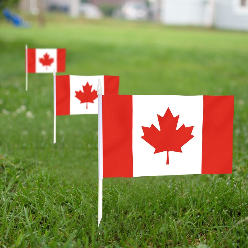 Anley Canada Mini Flag 12 Pack Hand Held Small Miniature Canadian Flags on Stick gallery
