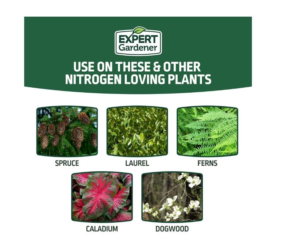 Expert Gardener Evergreen Tree and Shrub Plant Food, 16-4-8 Fertilizer, 4 lb. gallery