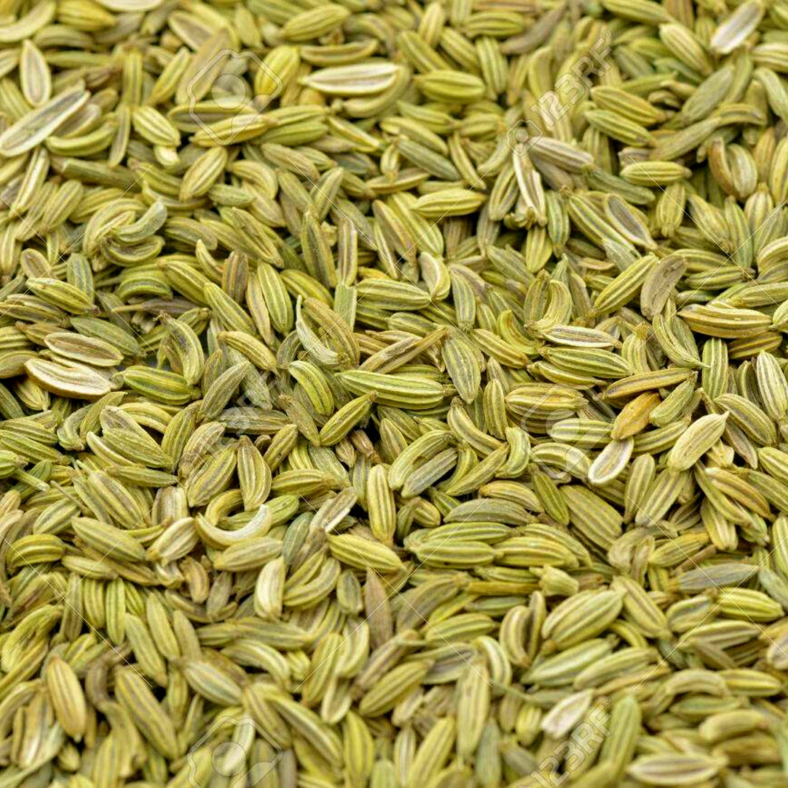 Fennel Seeds | Saunf | Ceylon Organic Spices | Whole Dried Seasoning Herb Bulk gallery