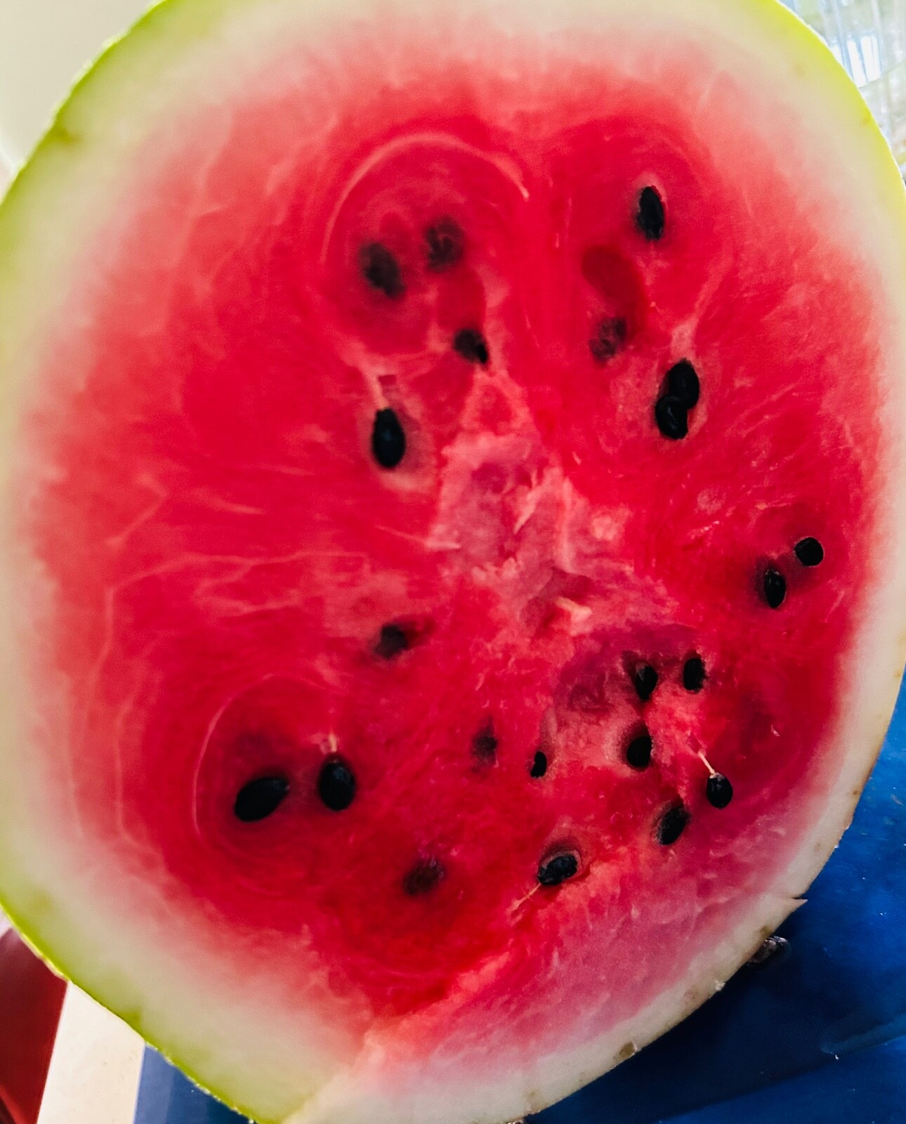 Giant Jubilee Watermelon Seeds | Heirloom Fresh Fruit Garden 50PCS Seeds gallery