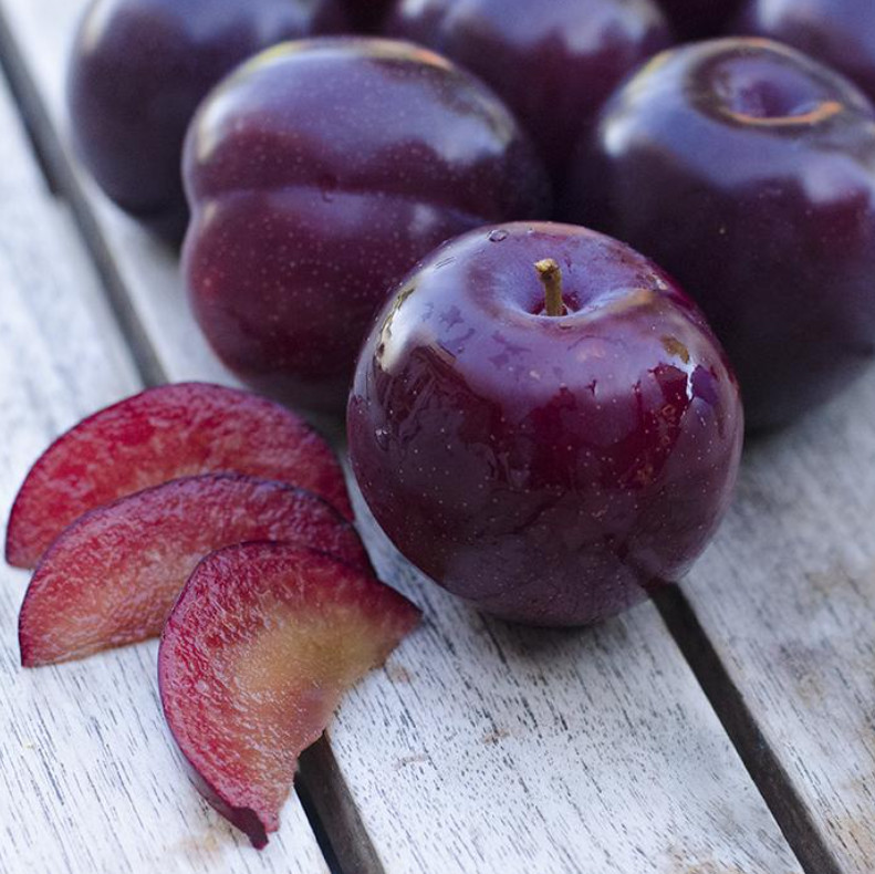 Santa Rosa Plum Tree - 2-3ft - 3Gallon - Prunus salicina - Sweet Juicy Plum Tree gallery
