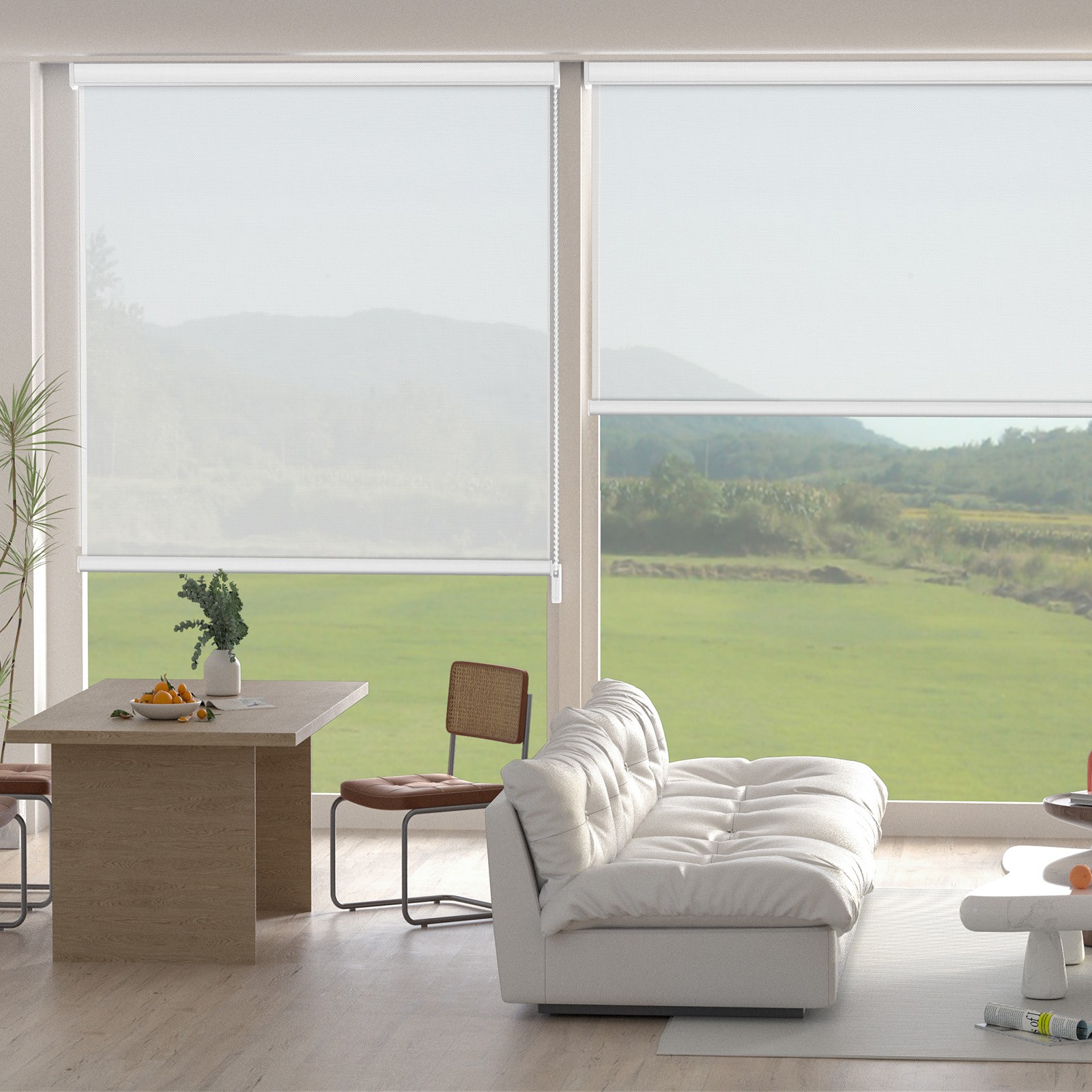 Changshase Custom Made Light Filtering Corded Window Blinds Roller Shades gallery