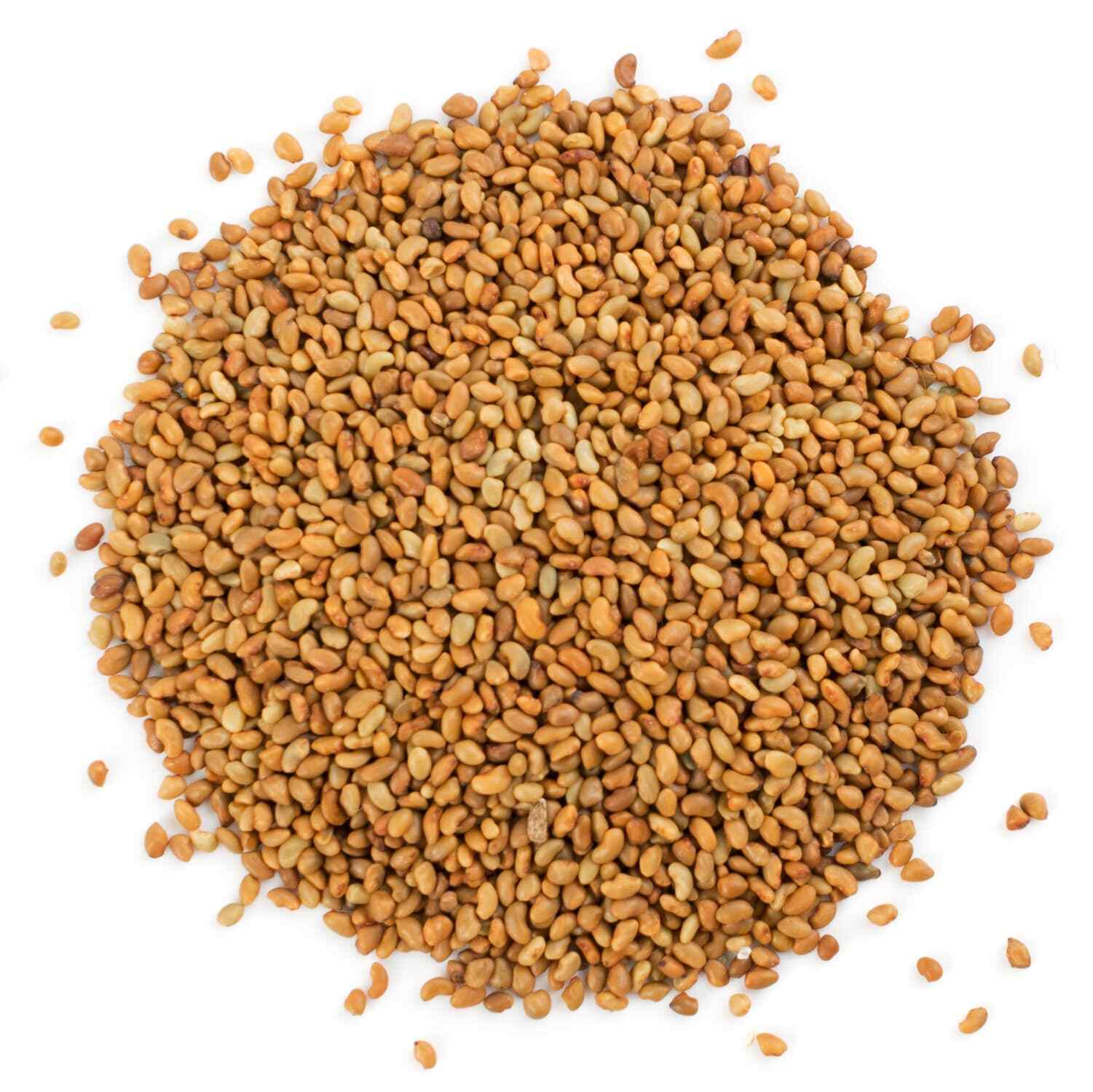 Organic Alfalfa Seeds for Sprouting – Non-GMO, Sproutable - by Food To Live gallery