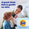 Tide Powder Laundry Detergent - Free & Gentle - 77oz gallery