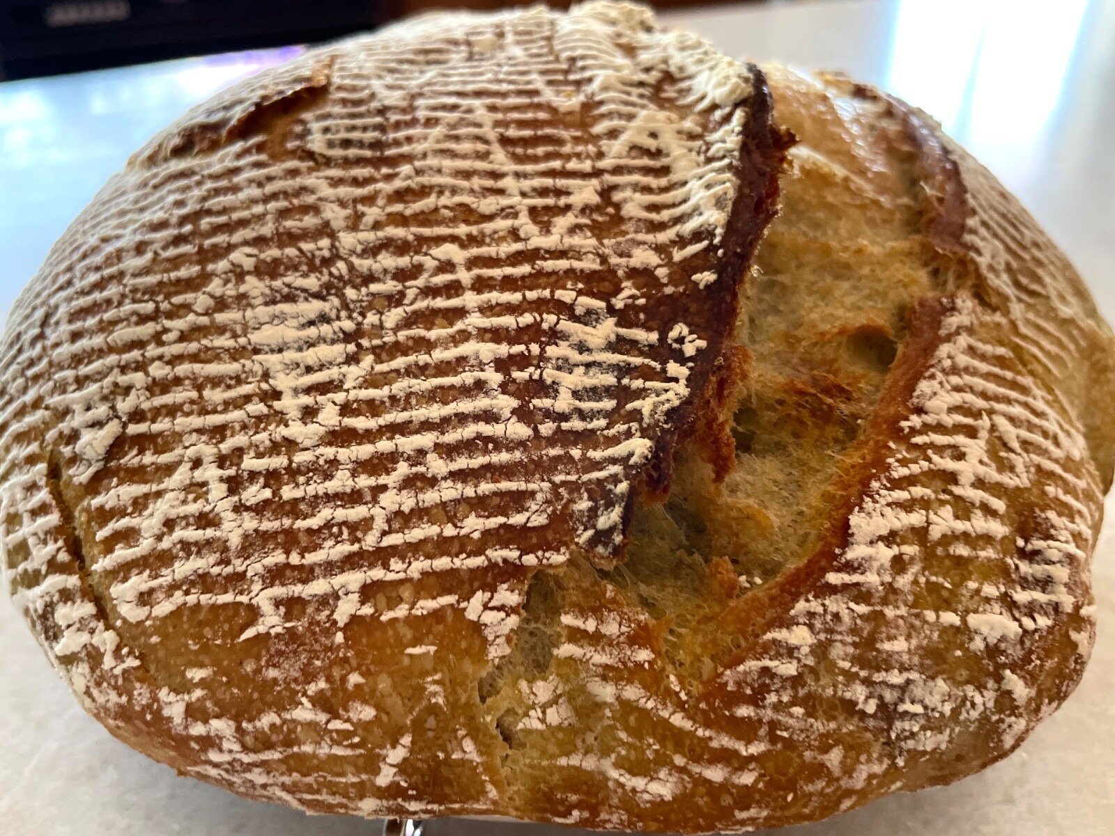 *free shipping* DEHYDRATED SOURDOUGH STARTER gallery