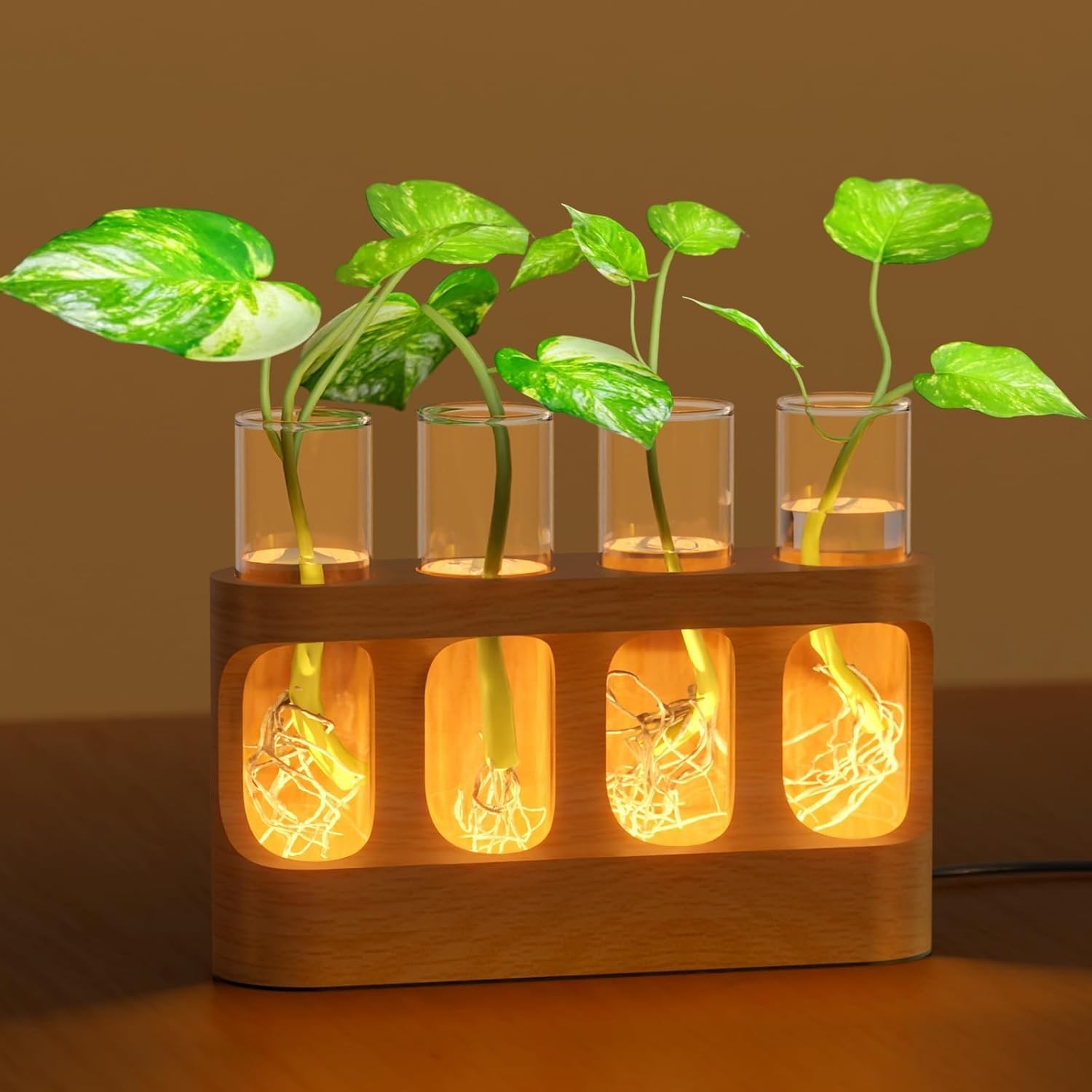 Plant Propagation Station with LED Light and Test Tubes for Hydroponics Decor gallery
