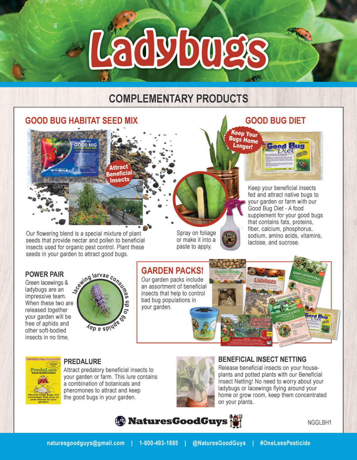 1,500 Live Ladybugs - Guaranteed Live Delivery! gallery