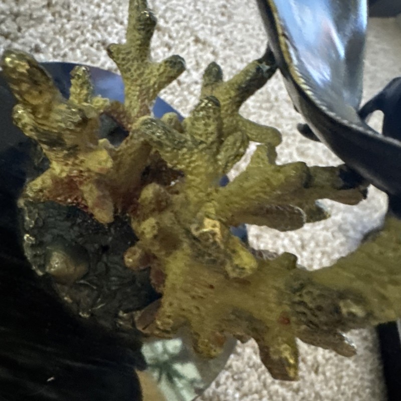 SPI Gallery San Pacific Inter. STINGRAY Solid Brass gallery