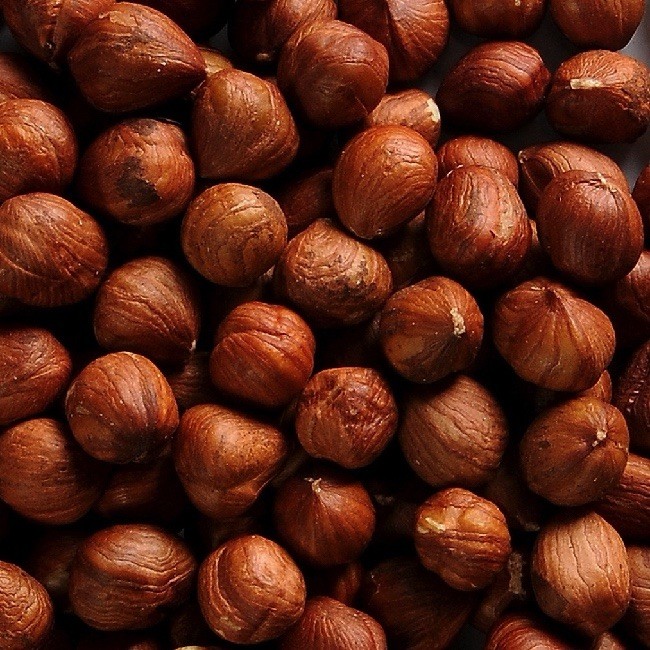 Turkish Natural Shelled Hazelnut Always Fresh 2025 Crop 11 oz.to30 lbs. Agro Sun gallery