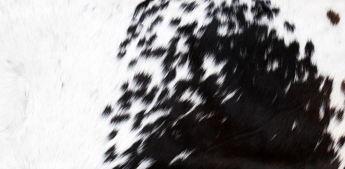 100% NEW COWHIDE LEATHER CUSHION COVER RUG COW HIDE HAIR (24" x 12") SA-8091 gallery