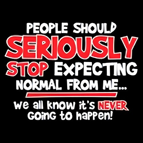 PEOPLE SERIOUSLY STOP EXPECTING NORMAL WE ALL KNOW NEVER GOING TO HAPPEN MAGNET gallery