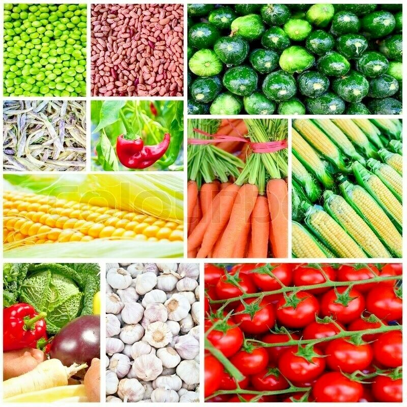 150+ Heirloom Vegetable Seeds 6 Variety Garden Set #5 Emergency Survival NON-GMO gallery