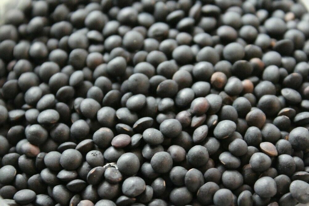 BLACK LENTILS BEANS gallery