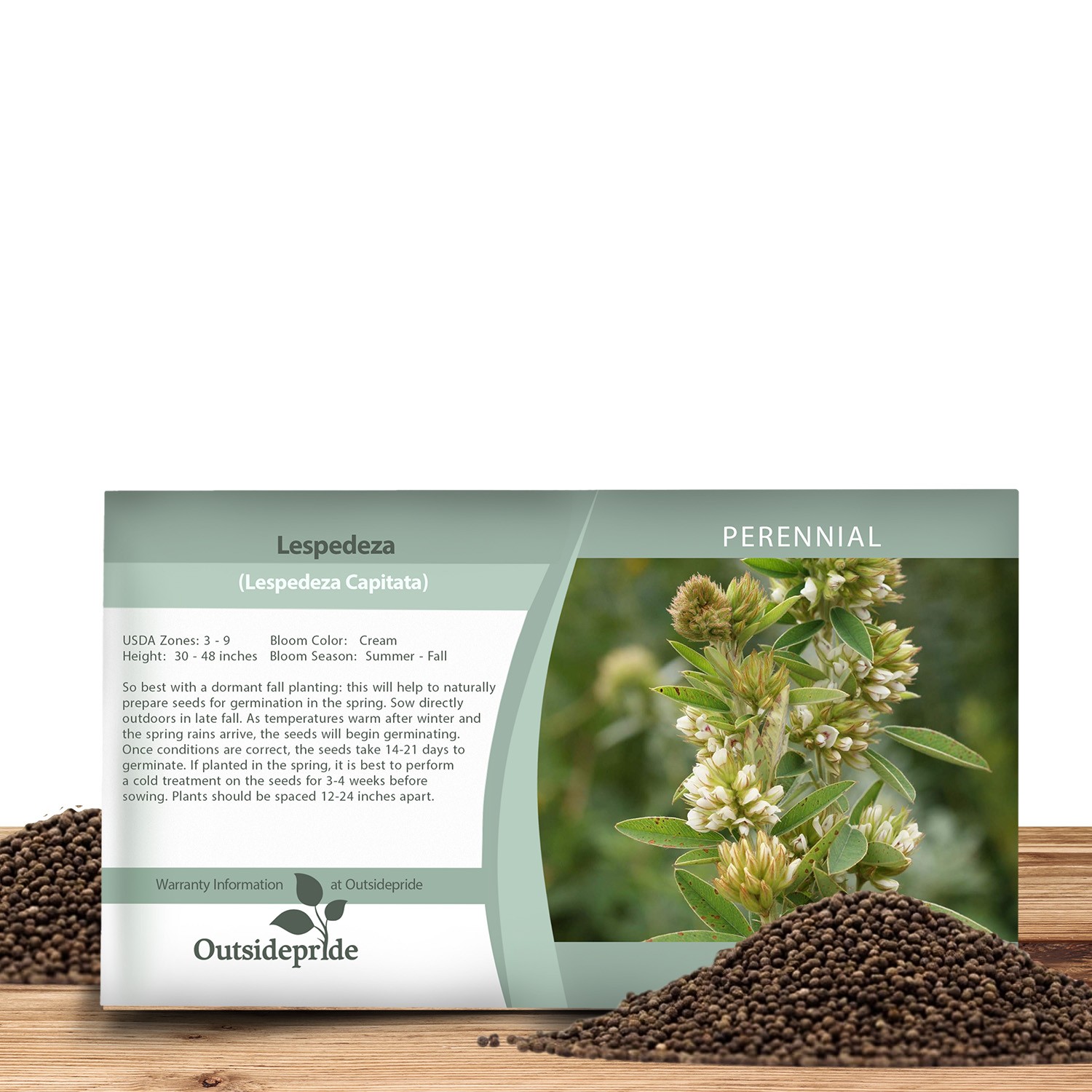 2000 Seeds Drought Resistant Lespedeza Capitata Round Headed Bush Clover gallery