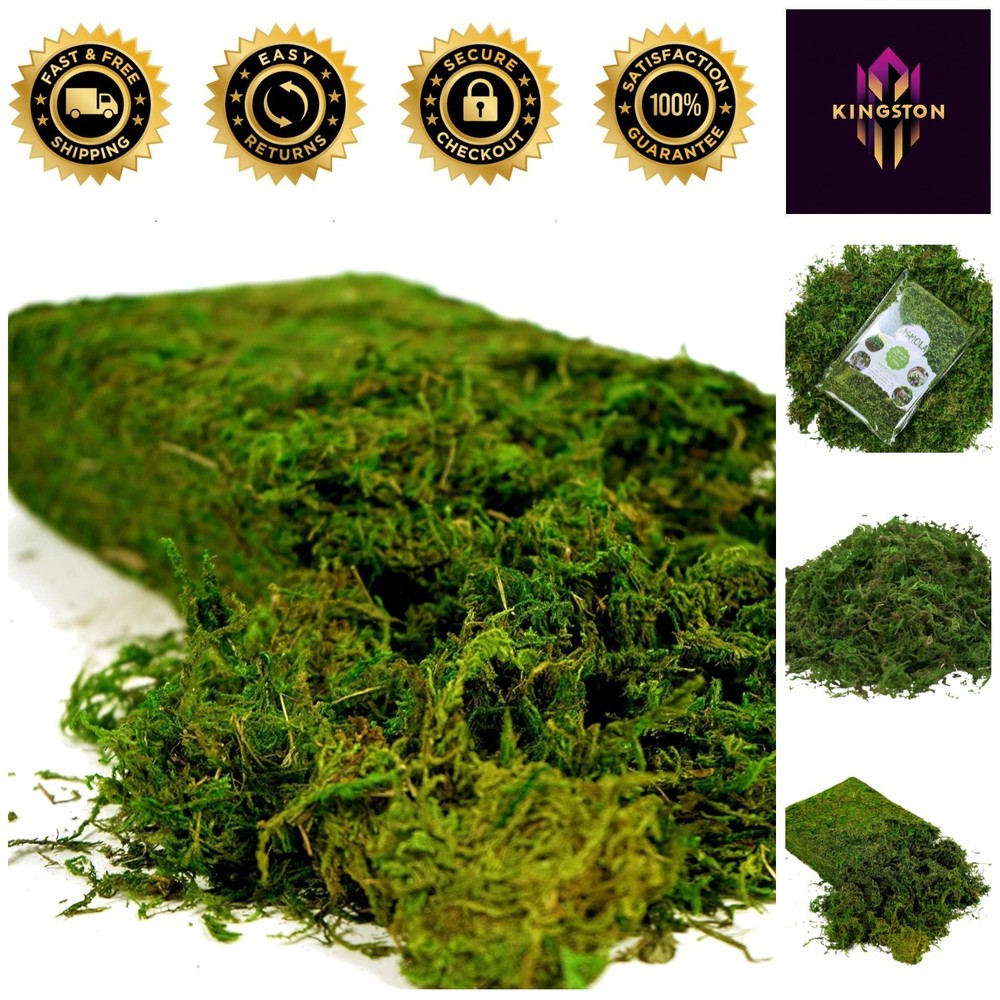 Versatile Artificial Moss 16oz - Perfect for Fairy Gardens & Floral Arrangements