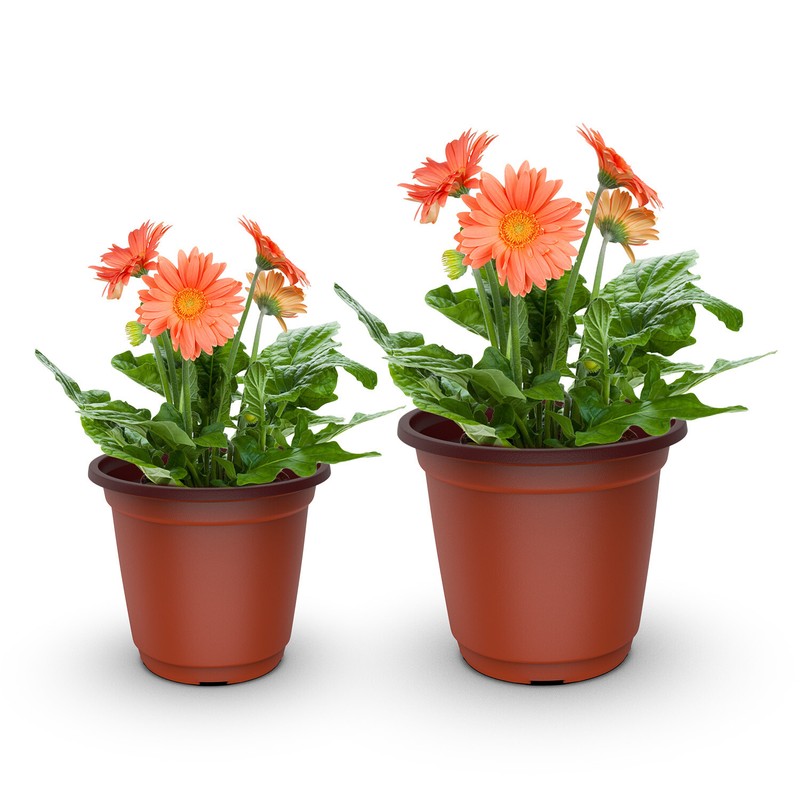 100PCS Nursery Seedling Pots - Plastic Plant Containers w/10 Labels, Flower Pot gallery
