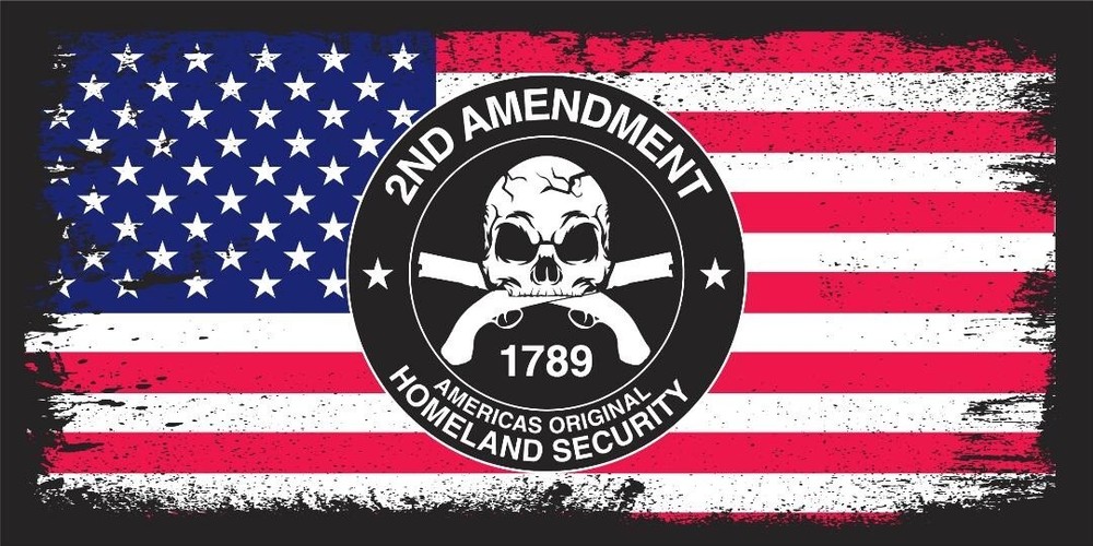 2ND AMENDMENT HOMELAND SECURITY 1789 USA PATRIOTIC Vinyl Decal Bumper Sticker