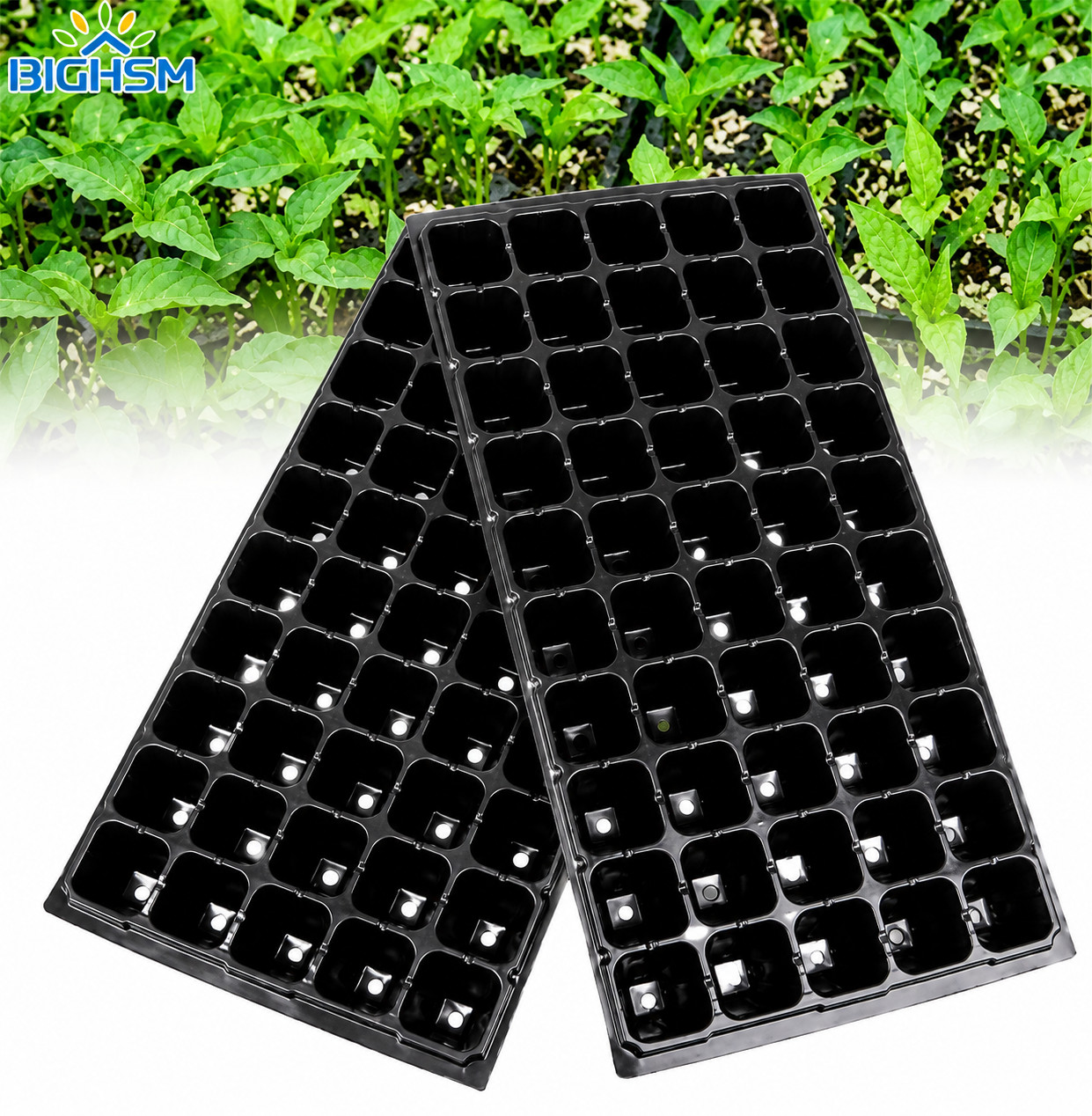 10 Black Plastic PLUG SHEETS - 50 cells per flat- INSERTS SEED STARTING gallery